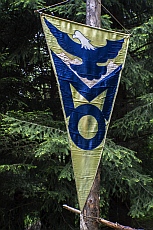 Vlajka Modrého orla